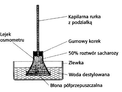 Zadanie 6.