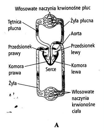 Zadanie 14.