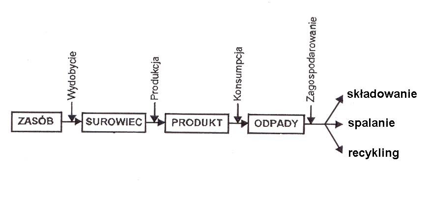 Sposoby gospodarowania odpadami. Składowanie, recykling, spalanie.