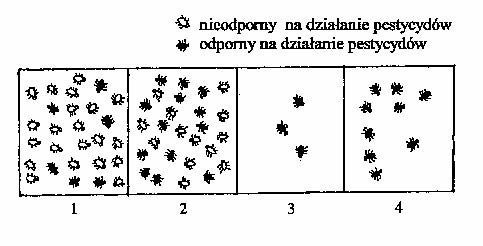 Zadanie 29.