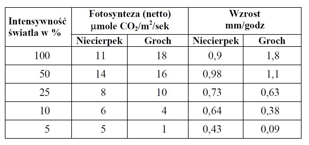 Wpływ intensywności światła na proces fotosyntezy i wzrost rośliny.