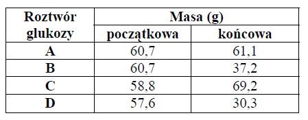 Cztery kawałki ziemniaka o takiej samej wielkości i kształcie, wycięte z jednej bulwy…