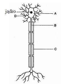 Zadanie 7.