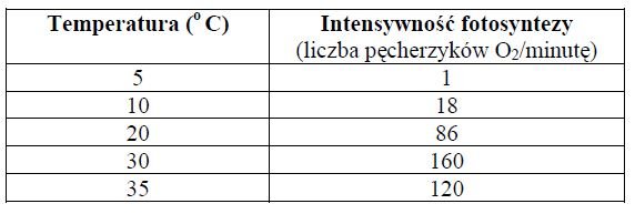 Wpływ temperatury na intensywność fotosyntezy.