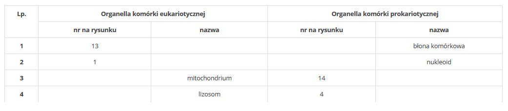 Porównanie budowy komórki prokariotycznej i eukariotycznej.