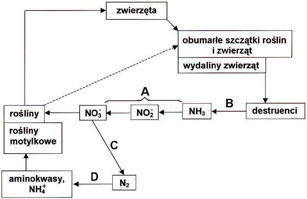 Zadanie 33.