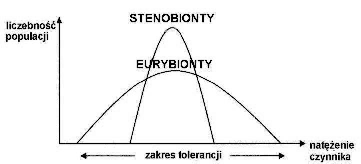 Zadanie 37.