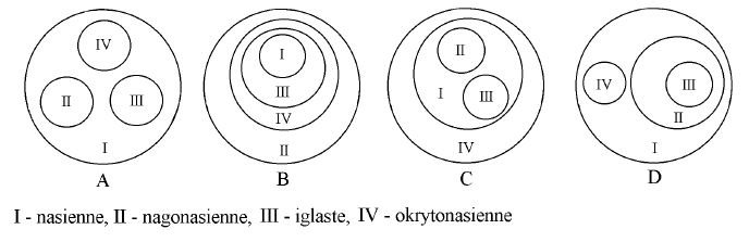 Podział systematyczny nasiennych