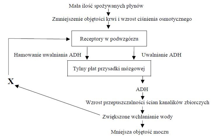 Zadanie 15.