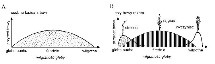 Wzrost traw na poletkach o różnej wilgotności