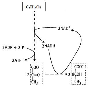 Zadanie 37.