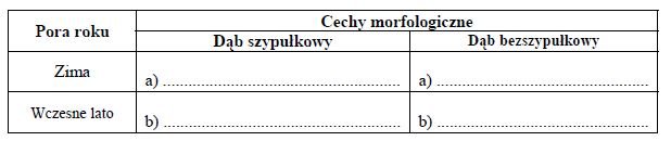 Cechy morfologiczne debu szypułkowego i bezszypułkowego