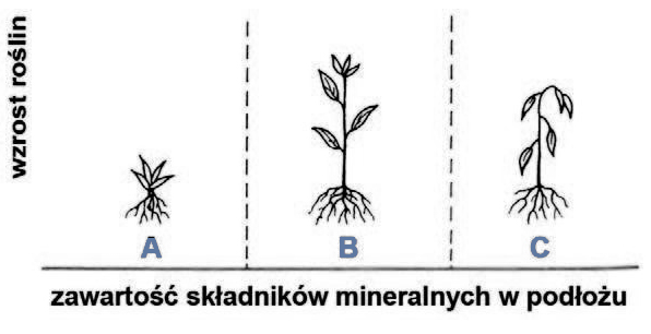 Jak zawartość składników mineralnych w podłożu wpływa na ich rozwój