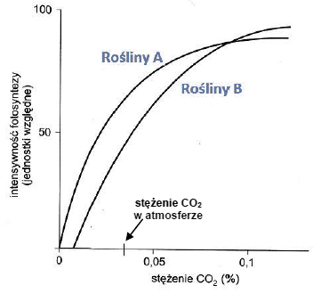 Wpływ stężenia dwutlenku węgla na intensywność procesu fotosyntezy.