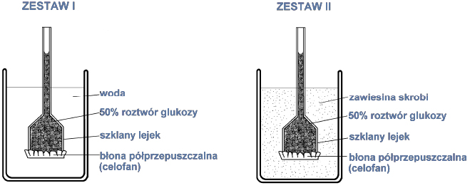 Dlaczego rśliny magazynują skrobię jako materiał zapasowy?