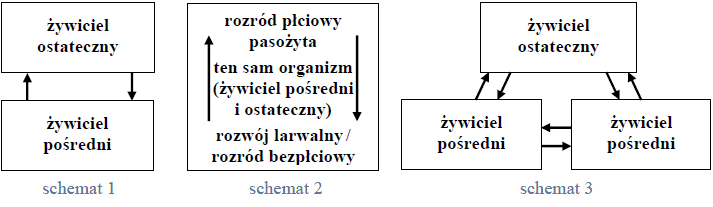 Zadanie 10.