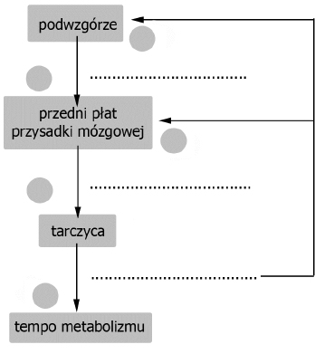 Zadanie 8.