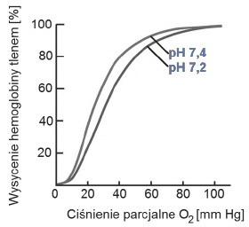 Wpływ powinowactwa hemoglobiny do tlenu w zalezności od wartości pH osocza.