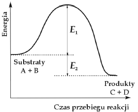 Zadanie 8.