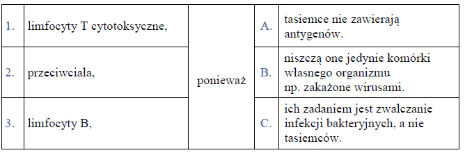 Zadanie 12.