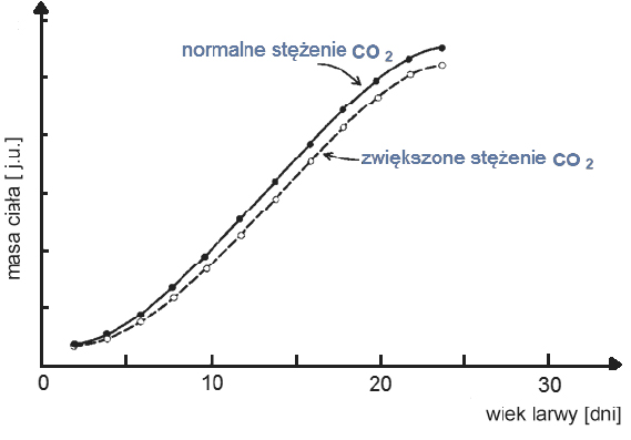 Zadanie 20.