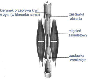 Zadanie 16.