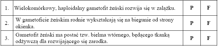 Rozwój gametofitu sosny – nagozalążkowe