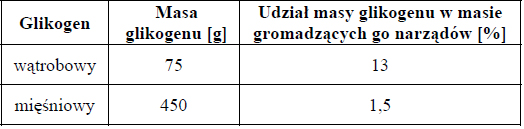 Zawartość i rola glikogenu wątrobowego i mięśniowego.