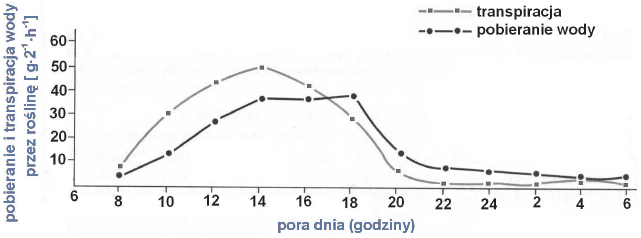 Wpływ natężenia transpiracji na intensywność pobierania wody