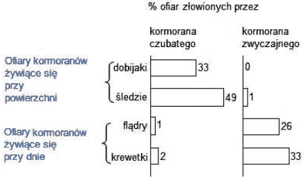 Zadanie 114.