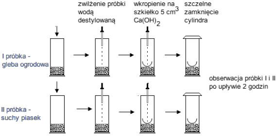 Zadanie 115.