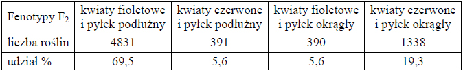 Rodzaje fenotypów i ich stosunek liczbowy w przypadku alleli sprzężonych.