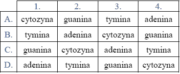 Zadanie 18.