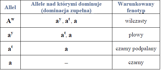 Zadanie 19.