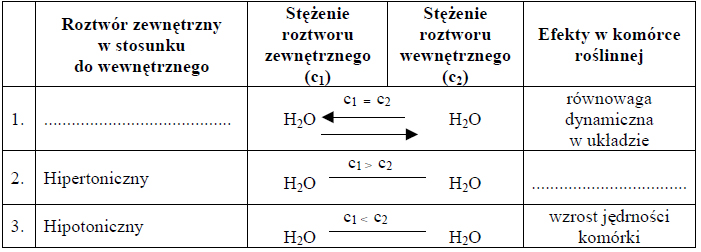 Zadanie 2.