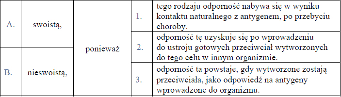 Budowa komórki bakteryjnej. Rysunek bakterii.