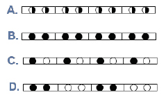 Schemat grzybni pieczarki.