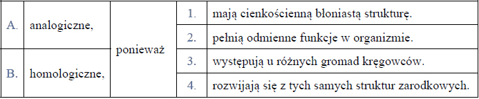 Budowa pęcherza pławnego u ryb.