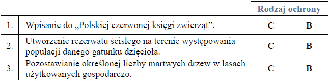 Dzięcioł trójpalczasty (Picoides tridactylus) i dzięcioł białogrzbiety (Dendrocopos leucotos).