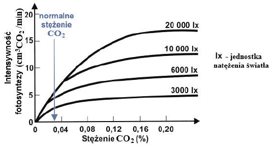 Wpływ stężenia dwutlenku węgla i natężenia światła na fotosyntezę.