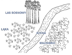 Przepływ genów w środowisku.