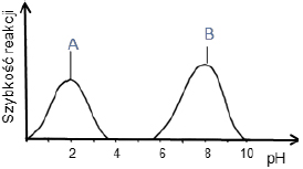 Optimum pH dla trypsyny.