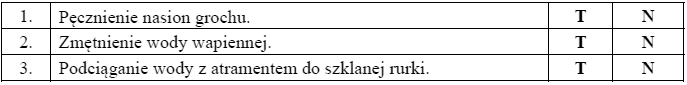 Procesy zachodzące podczas kiełkowania grochu.