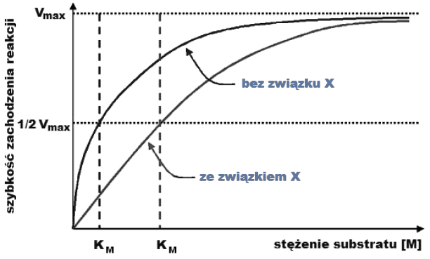 Zależność szybkości reakcji od stężenia substratu.