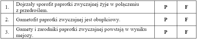 Czy rozmnażanie przez zarodniki to klonowanie?