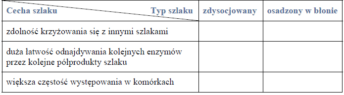 Działanie szlaków enzymatycznych.