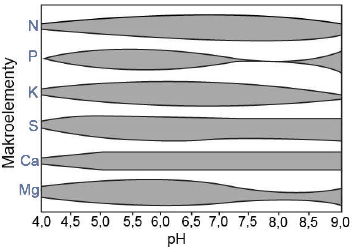 Wpływ pH roztworu glebowego na przyswajalność skladników mineralnych przez roślinę