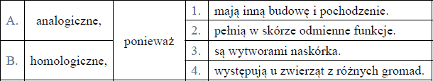 Porównanie budowy skóry ryb i gadów. Wytwory skóry – łuski.