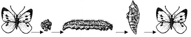 Zadanie 14.