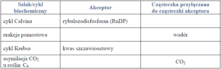 Akceptory i cząsteczki przyłączane w cyklach biochemicznych.